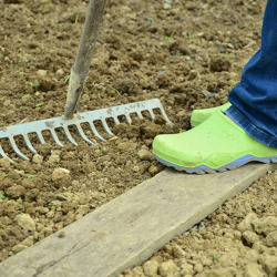 Unser Gartenfachberater informiert im Dezember