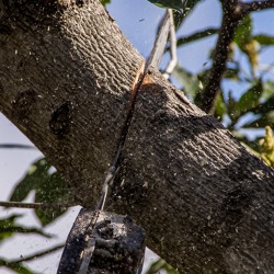 Unser Gartenfachberater informiert im März 2022